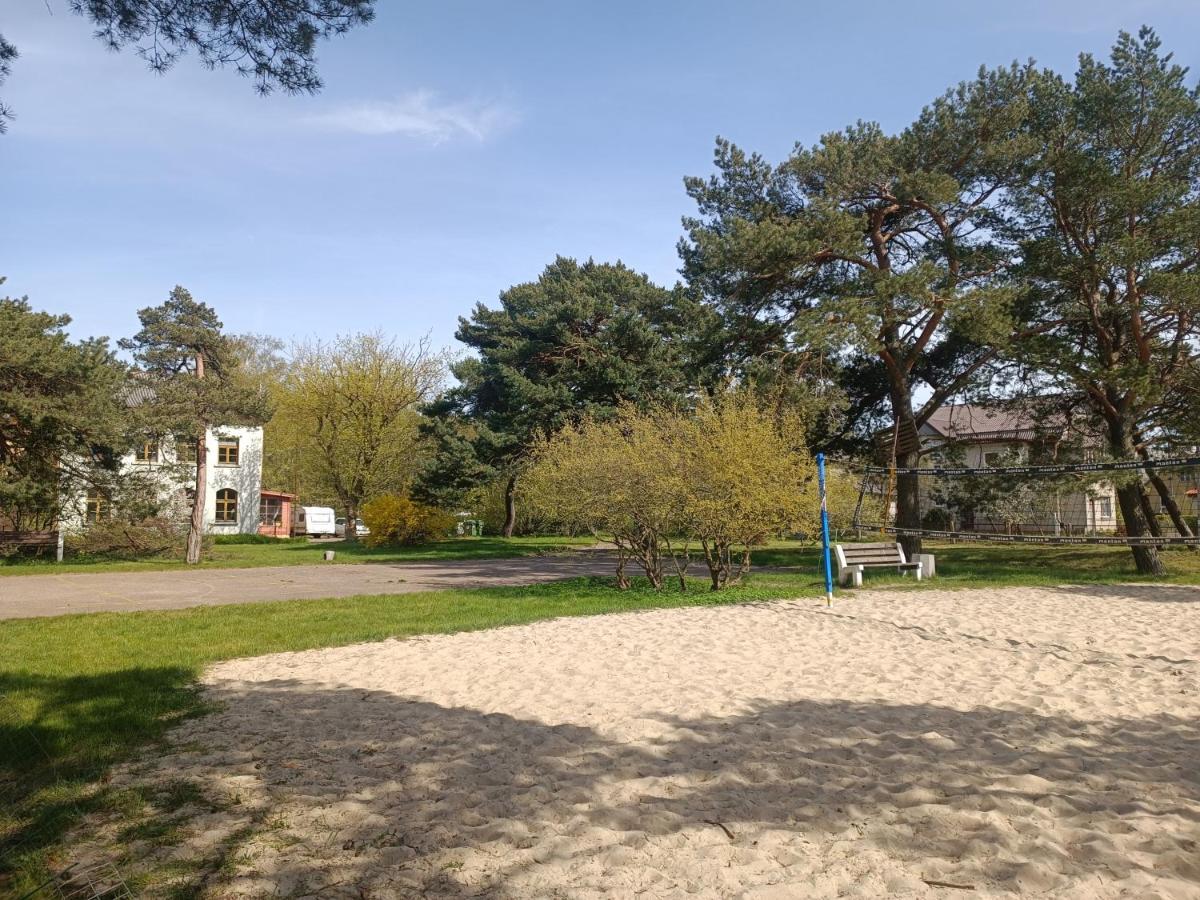 Surf Apartments In Melnrage Klaipėda Eksteriør billede
