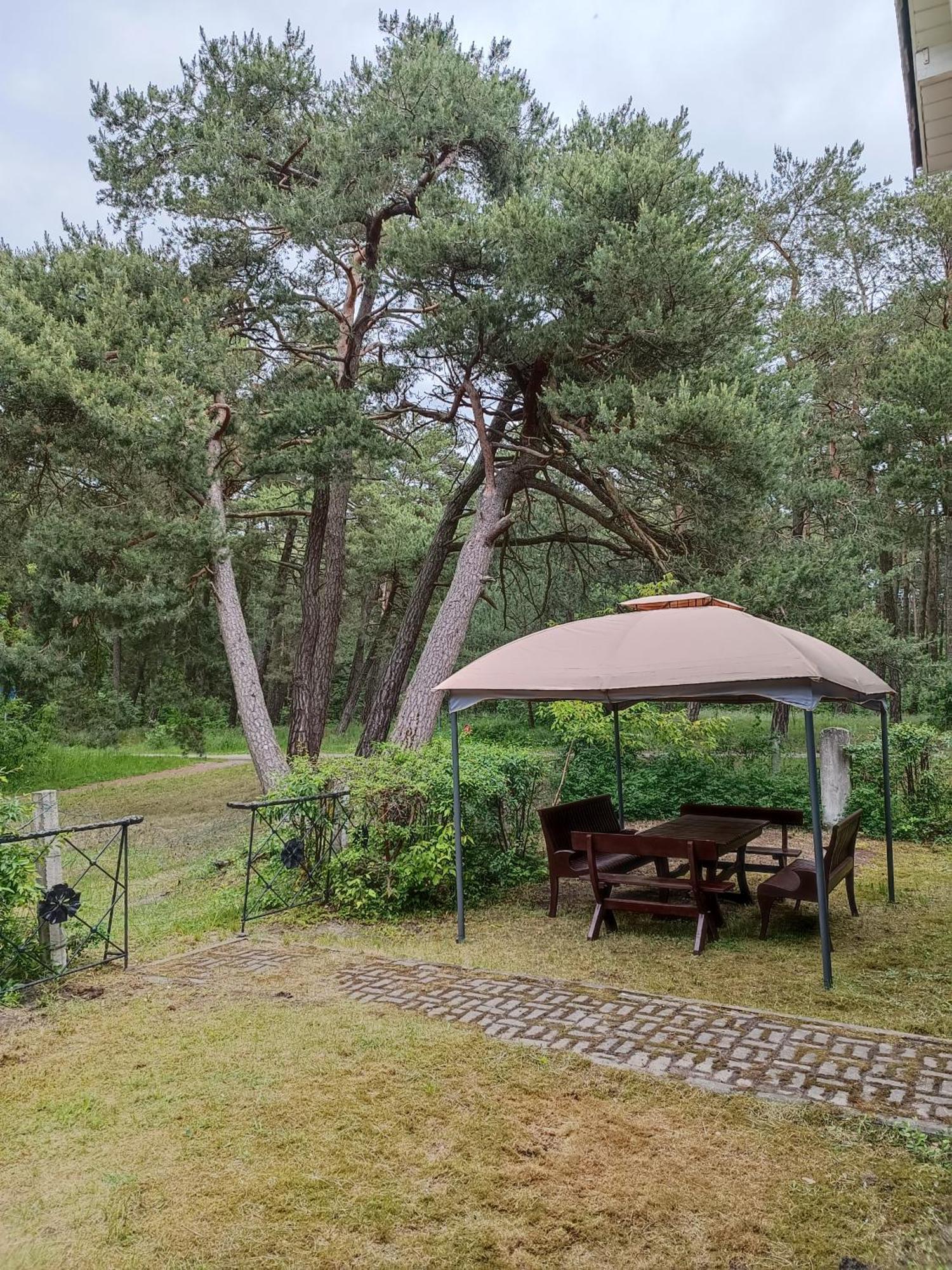 Surf Apartments In Melnrage Klaipėda Værelse billede
